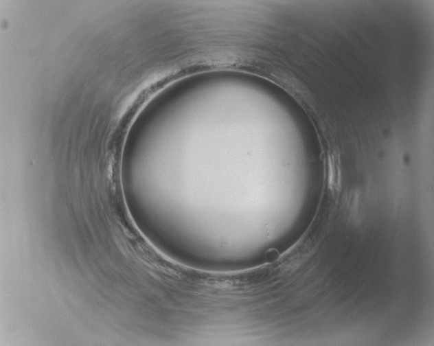 X0000051920723200507152056