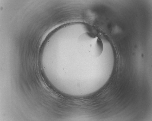 X0000051920724200507152056