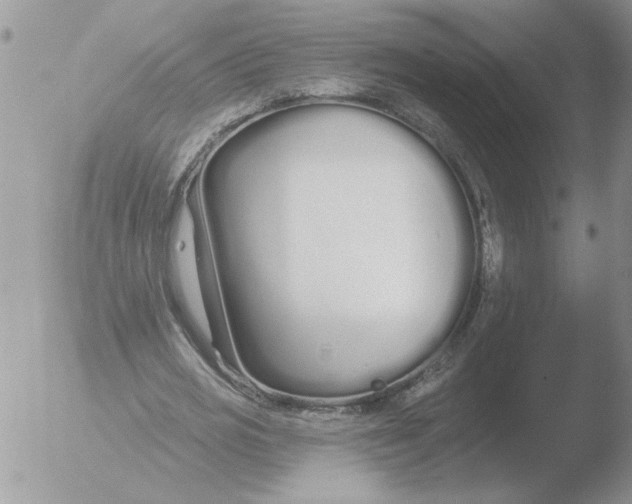 X0000051920725200507152056