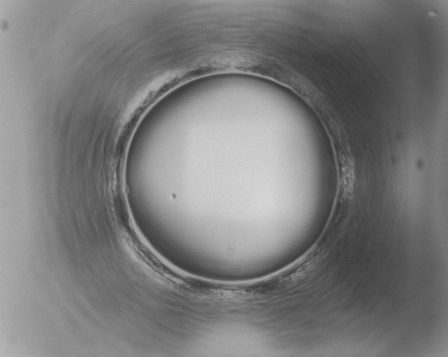 X0000051920726200507152056