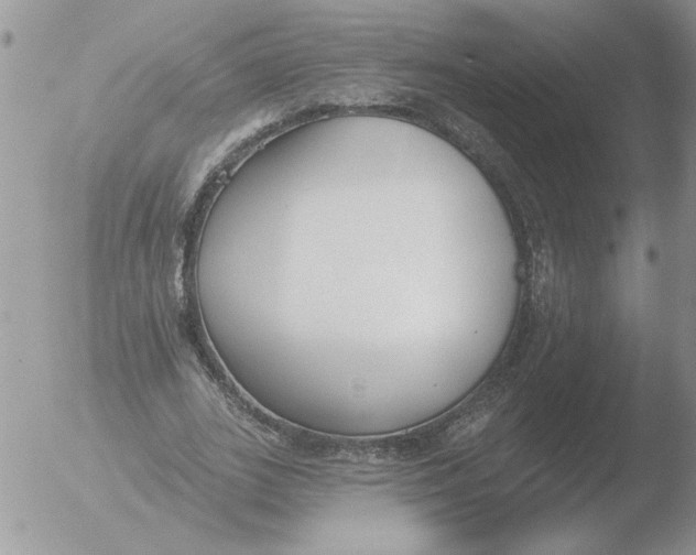 X0000051920727200507152056