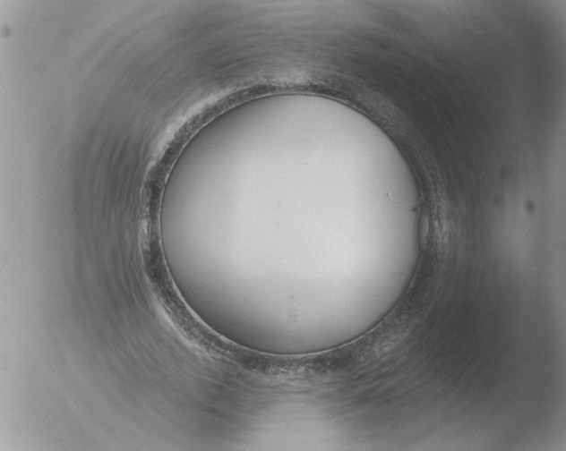 X0000051920728200507152056