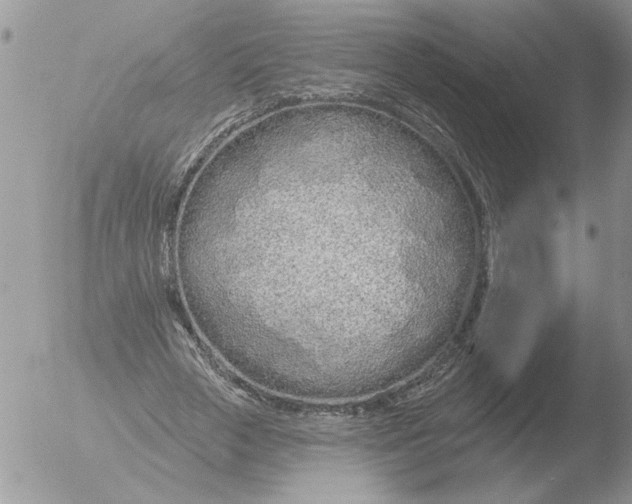 X0000051920729200507152056