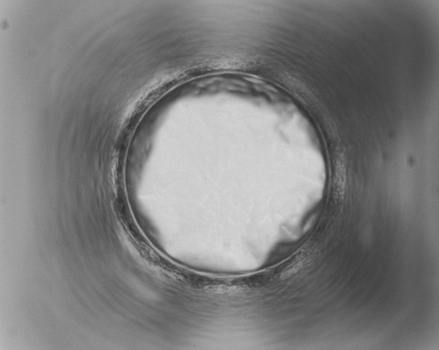 X0000051920730200507152056