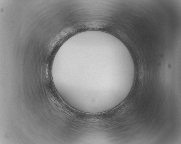 X0000051920731200507152056