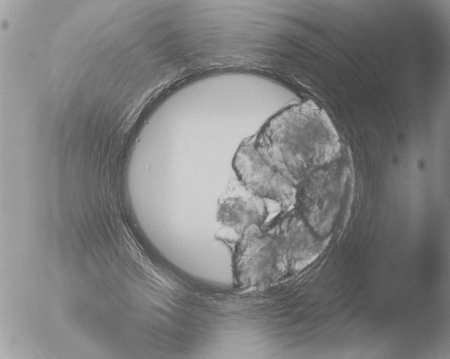 X0000051920733200507152056