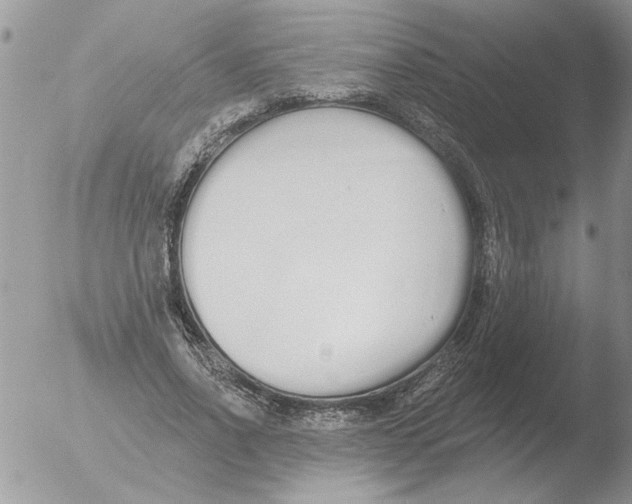 X0000051920734200507152056