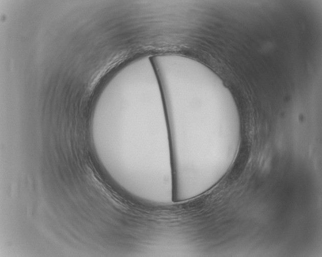 X0000051920735200507152056