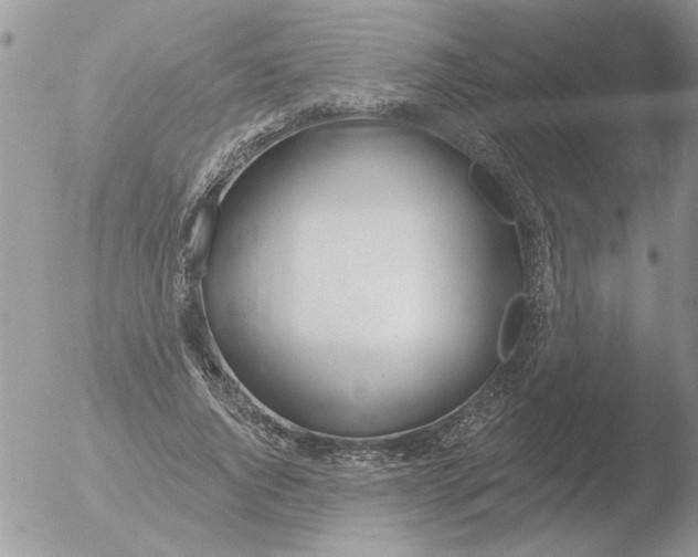 X0000051920736200507152056