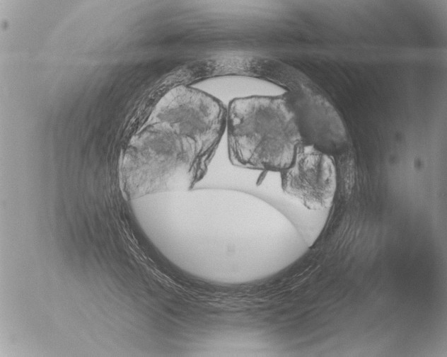 X0000051920737200507152056