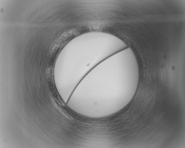 X0000051920738200507152056