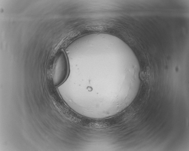 X0000051920739200507152056