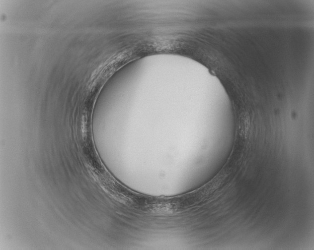 X0000051920740200507152056