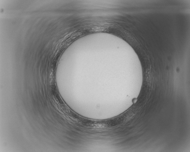 X0000051920741200507152056