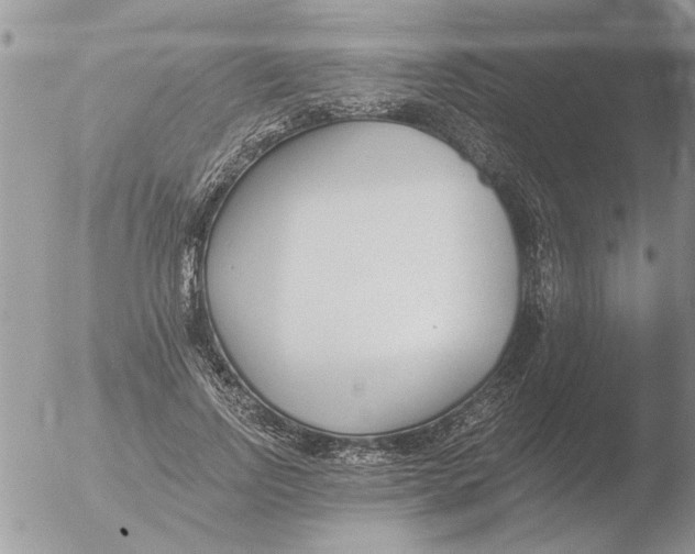 X0000051920742200507152056