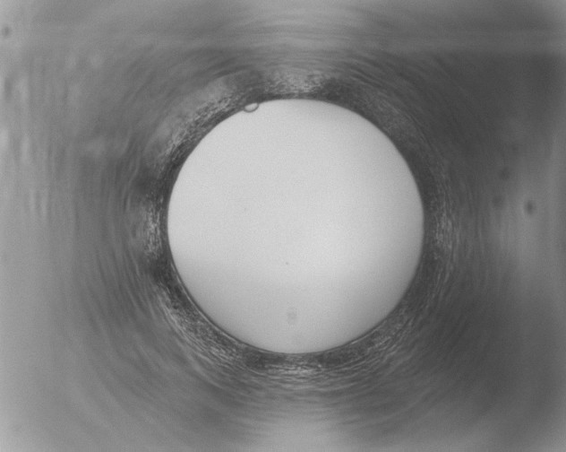 X0000051920743200507152056