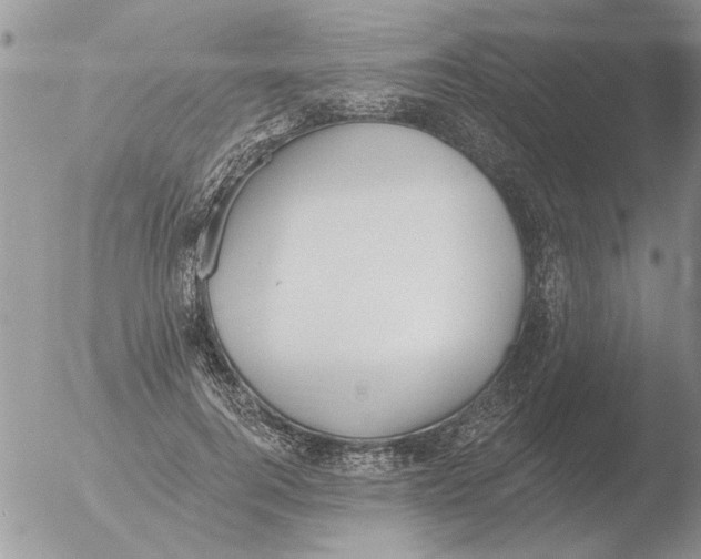 X0000051920744200507152056