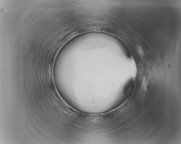 X0000051920745200507152056