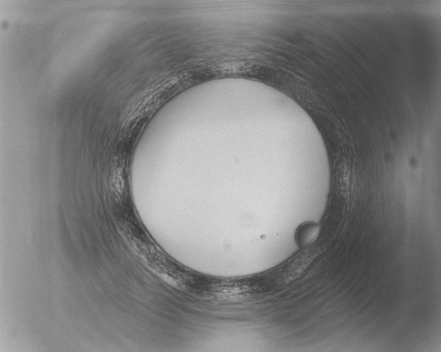 X0000051920746200507152056