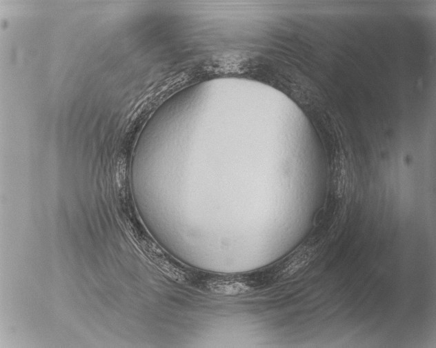 X0000051920747200507152056