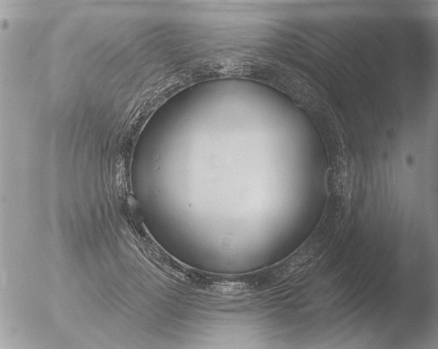 X0000051920748200507152056