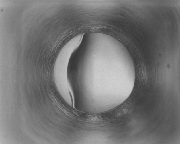 X0000051920750200507152056