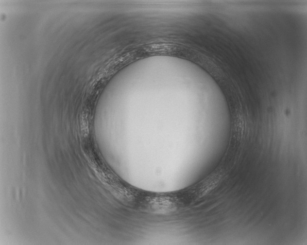 X0000051920751200507152056