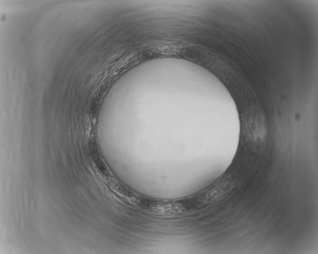 X0000051920752200507152056