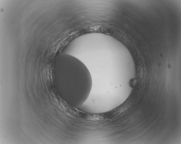 X0000051920754200507152056