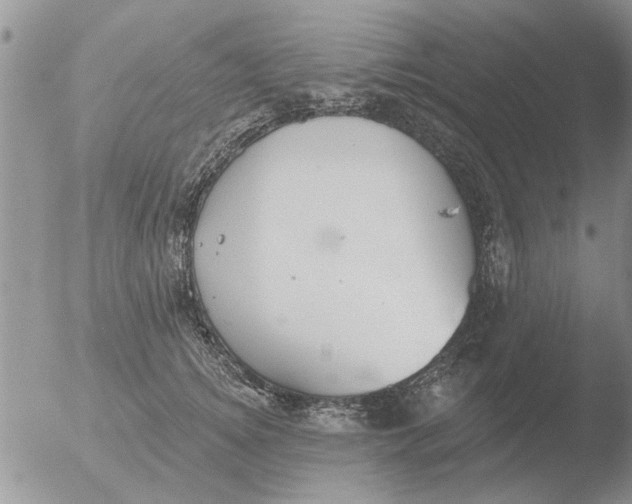 X0000051920756200507152056