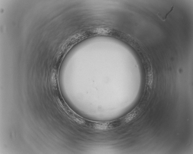 X0000051920757200507152056