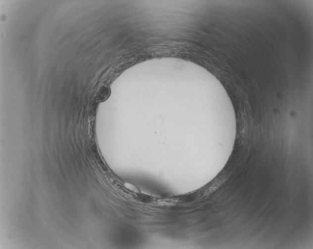 X0000051920758200507152056