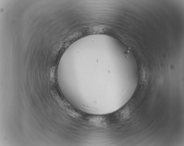 X0000051920759200507152056