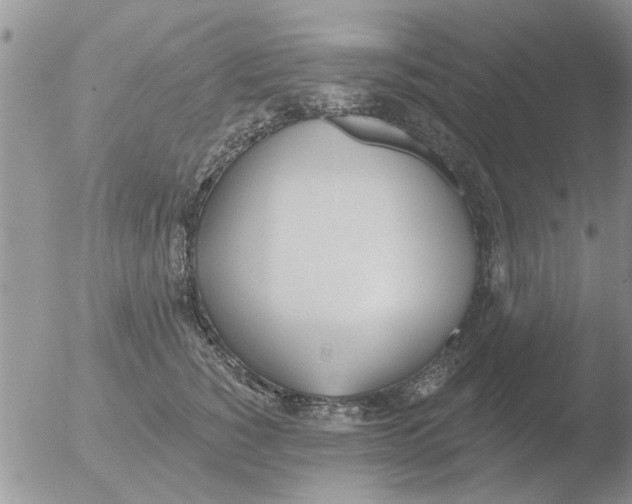 X0000051920760200507152056