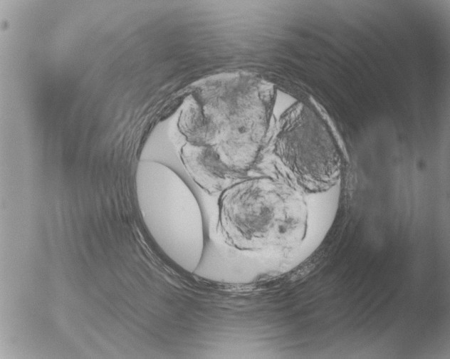 X0000051920761200507152056