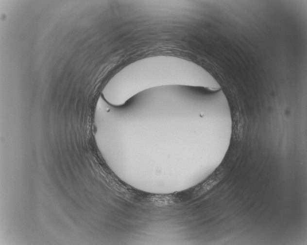 X0000051920762200507152056