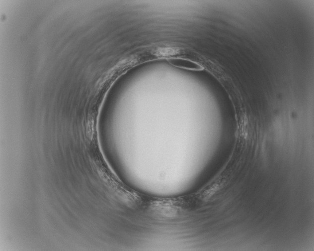 X0000051920763200507152057