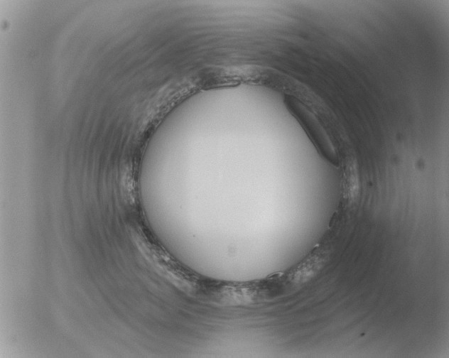 X0000051920764200507152057