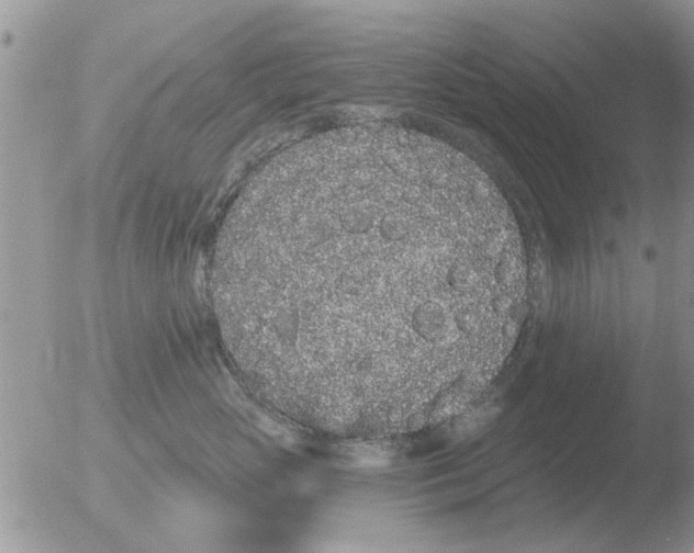 X0000051920765200507152057