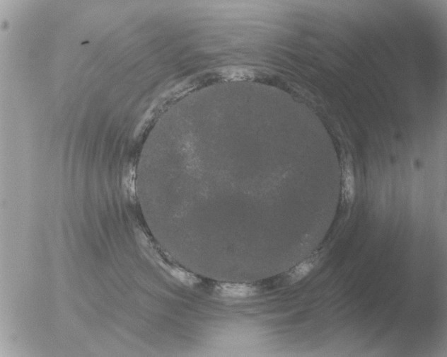 X0000051920766200507152057