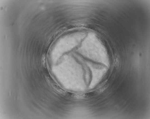 X0000051920767200507152057