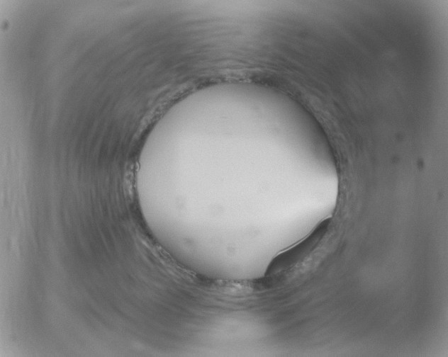 X0000051920768200507152057