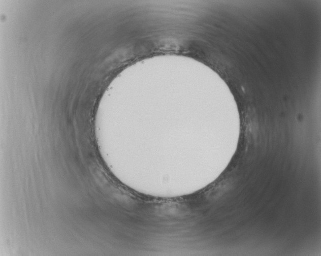 X0000051920769200507152056