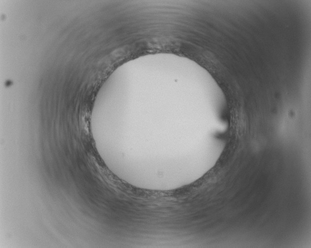 X0000051920770200507152056