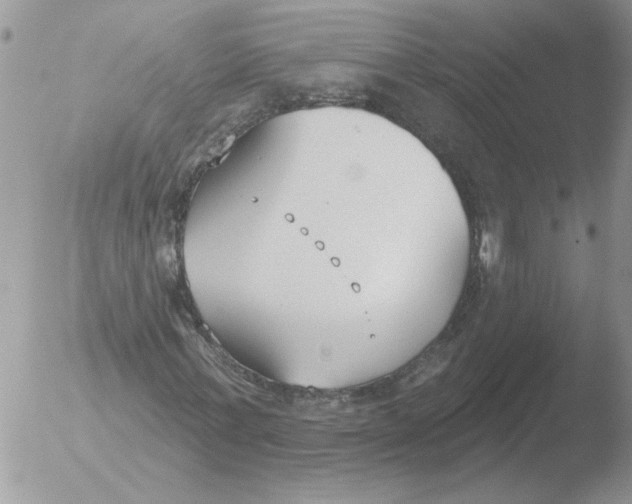 X0000051920771200507152056