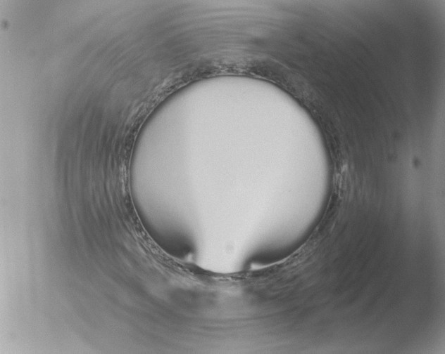 X0000051920772200507152056