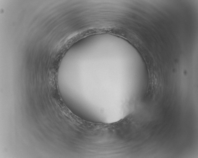 X0000051920773200507152056