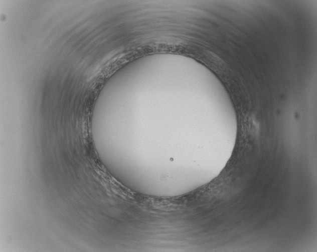 X0000051920774200507152056