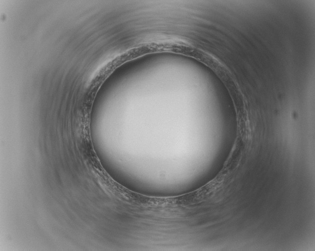 X0000051920775200507152056