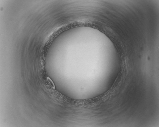 X0000051920776200507152056